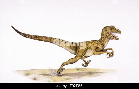 Palaeozoology - Kreidezeit - Dinosaurier - Deinonychus - Kunstwerk Stockfoto