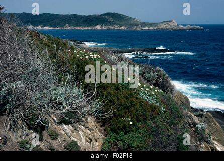 Ein Blick auf Nationalpark Port-Cros, Frankreich. Stockfoto