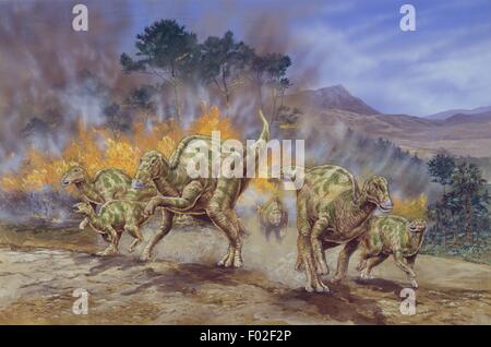 Palaeozoology - Kreidezeit - Dinosaurier - Herde von Hadrosaurus - Kunstwerk Stockfoto