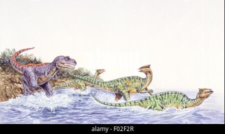 Palaeozoology - Angriff kreidiges Periode - Dinosaurier - Tarbosaurus eine Herde von Saurolophus - Kunstwerk Stockfoto