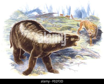 Palaeozoology - Pleistocene Periode - ausgestorbener Säugetiere - Diprotodon-e Thylacoleo (Beuteltiere) - Kunstwerk von James Robins Stockfoto