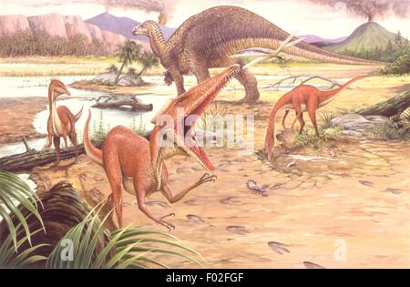 Palaeozoology - Kreidezeit - Dinosaurier - Herde von Pelecanimimus - Kunstwerk von John Morris Stockfoto