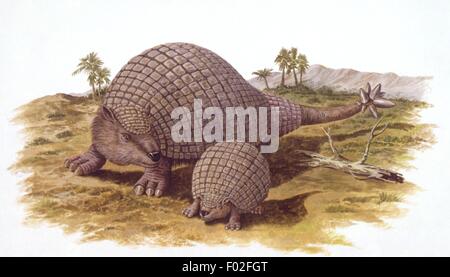 Palaeozoology - Pleistocene Periode - ausgestorbener Säugetiere - Glyptodons - Doedicurus Clavicaudatus - Kunstwerk von Philip Hood Stockfoto