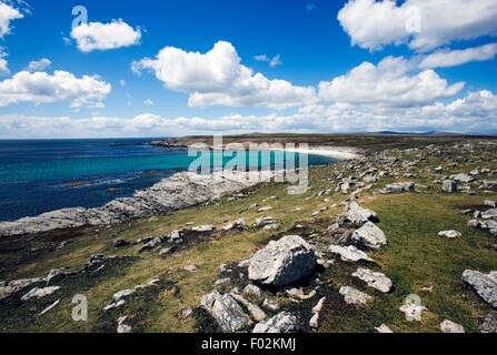 Der nordöstlichen Küste von Pebble Island, Falkland-Inseln, British Overseas Territory, Großbritannien. Stockfoto