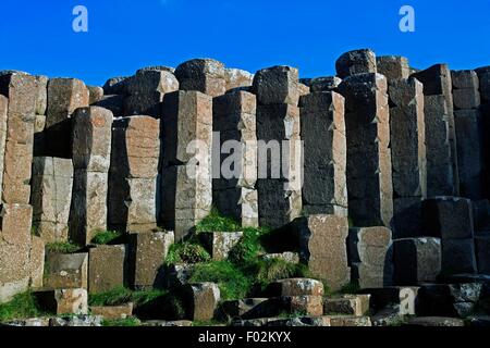 Basaltische Prismen, der Giant's Causeway, Felsvorsprung ineinandergreifende Basaltsäulen (UNESCO-Weltkulturerbe, 1986) an der Küste in der Nähe von Bushmills, Nordirland, Vereinigtes Königreich. Stockfoto