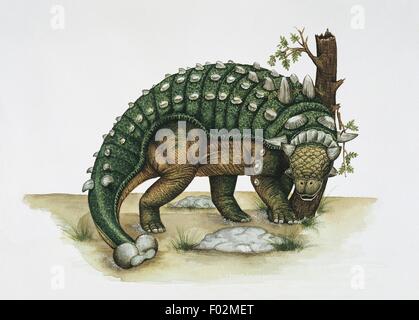 Palaeozoology - Kreidezeit - Dinosaurier - οπλον-(Kunstwerk von Edwina Goldstone) Stockfoto