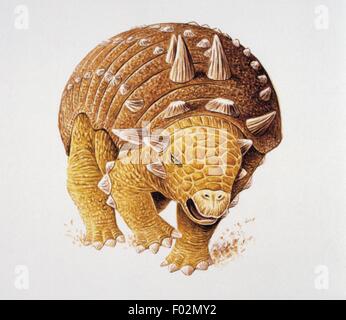 Palaeozoology - Kreidezeit - Dinosaurier - Euoplocephalus - Kunstwerk von Graham Berry Stockfoto