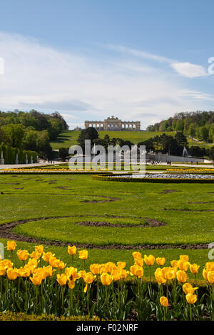 Schlosspark Schönbrunn und die Gloriette, Österreich Stockfoto