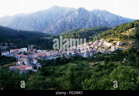 San Pietro Wald zwischen den Ortschaften Cozzano und Ghisoni, regionale Naturpark von Korsika (Parc Naturel Regional de Corse), Korsika, Frankreich. Stockfoto