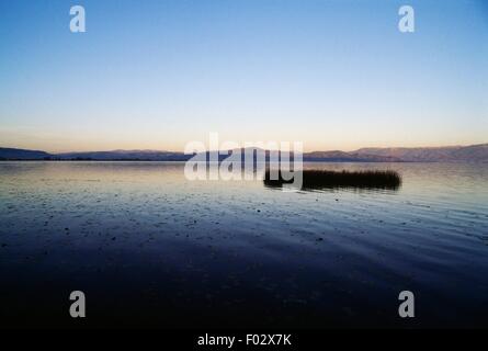 Strand und Schilf am Sonnenuntergang, mazedonischer Seite von See Ohrid, Mazedonien. Stockfoto