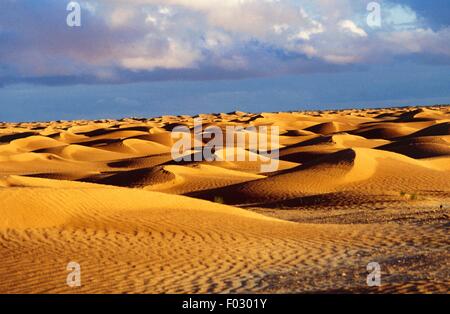 Sanddünen in der Nähe von Douz, Grand Erg Oriental, Sahara Wüste, Tunesien. Stockfoto