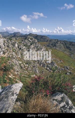 Simbabwe - Chimanimani-Nationalpark Stockfoto
