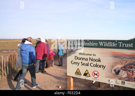 Besucher betreten den public-Viewing-Bereich bei Donna Nook Naturschutzgebiet Zeuge Kegelrobben Welpen und ihre Mütter, Lincolnshire UK Stockfoto