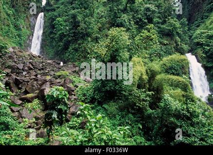 Trafalgar Wasserfälle, Morne Trois Pitons National Park (UNESCO-Welterbe, 1997), Dominica. Stockfoto