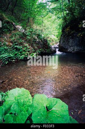 Canneto Fluss, Valle dei Mulini (Tal der Mühlen), Naturschutzgebiet Valle delle Ferriere, Kampanien, Italien. Stockfoto