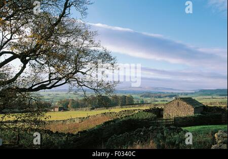 Landschaft in der Nähe von Bolton Castle, North Yorkshire, England, Vereinigtes Königreich. Stockfoto