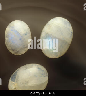 Edelsteine - Labradorit, cabochon Stockfoto