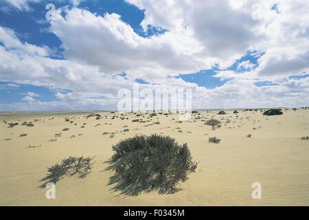 Ägypten - Sahara Wüste - libysche Wüste - Qattara Depression Stockfoto