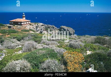 Giannutri Leuchtturm, 1861, am Punta Rossa oder Punta di Capel Rosso, Insel Giannutri Arcipelago Toscano Nationalpark, Toskana, Italien. Stockfoto