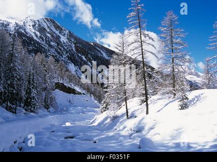 Verschneite Landschaft rund um Lillaz, Val di Cogne, Nationalpark Gran Paradiso, Valle d ' Aosta (Westalpen), Italien. Stockfoto