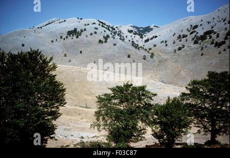 Colle Soprana, Madonie Regionalpark, Sizilien, Italien. Stockfoto