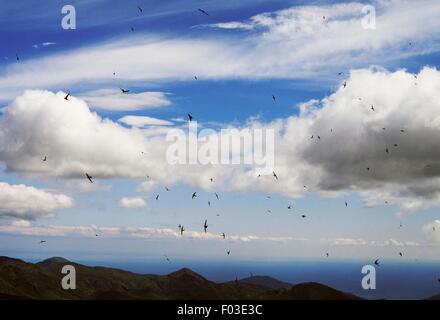 Wolken in den Himmel und Blick auf Meer von Monte Zatta, Naturpark Aveto, Ligurien, Italien. Stockfoto