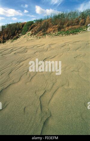 Fidschi - Viti Levu Insel - Sigatoka Sand Dunes National Park - Sanddünen und Sträuchern im Hintergrund. Stockfoto