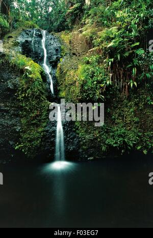Eines Waisila fällt, Colo-ich-Suva Waldpark, Viti Levu, Fidschi-Inseln. Stockfoto