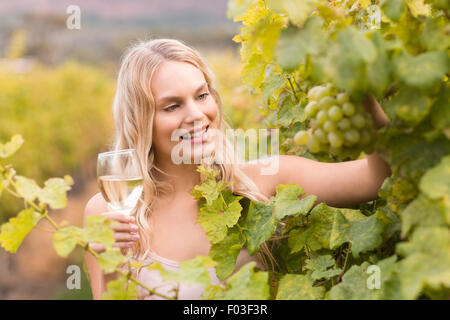 Glückliche Mädchen hält ein Glas Wein und Blick auf Trauben Stockfoto