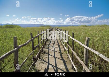 Italien - Apulien - Gargano-Nationalpark - Region See Lesina Naturschutzgebiet Stockfoto