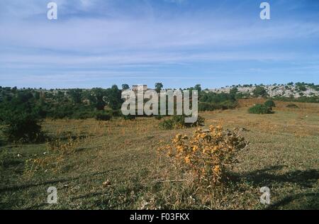 Italien - Apulien - Gargano-Nationalpark - Landschaft in der Umgebung von Mount La Serra, Sannicandro Garganico bis San Marco in Lamis Stockfoto