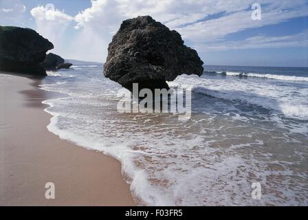 Barbados - Saint Joseph Parish - Bathsheba, Strand. Stockfoto