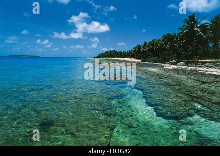 Föderierte Staaten von Mikronesien - Yap-Inseln - Ulithi-Atoll - Insel Falalop. Coral Reef und Palmen Bäume am Strand. Stockfoto