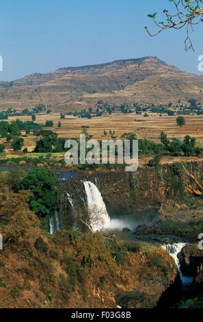Blue Nile fällt (Tis Issat, Rauchen Wasser) in der Nähe von Bahar Dar, Äthiopien. Stockfoto