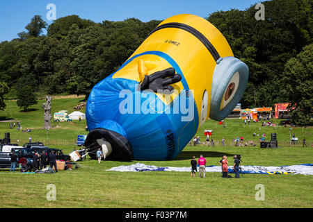 Bristol, UK. 6. August 2015. Ein riesige Minion Ballon aufgeblasen wie die 37. Bristol International Balloon Fiesta auf dem Ashton Gericht gut begonnen hat.  Das Ereignis, wie das größte seiner Art in Europa für vier Tage läuft in Rechnung gestellt.  Bristol, UK, 6. August 2015. Bildnachweis: Redorbital Fotografie/Alamy Live-Nachrichten Stockfoto