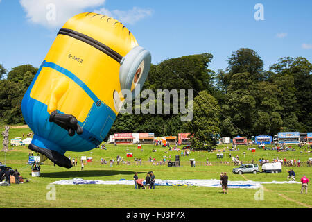 Bristol, UK. 6. August 2015. Ein riesige Minion Ballon aufgeblasen wie die 37. Bristol International Balloon Fiesta auf dem Ashton Gericht gut begonnen hat.  Das Ereignis, wie das größte seiner Art in Europa für vier Tage läuft in Rechnung gestellt.  Bristol, UK, 6. August 2015. Bildnachweis: Redorbital Fotografie/Alamy Live-Nachrichten Stockfoto