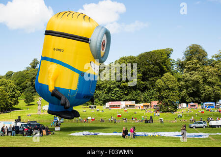 Bristol, UK. 6. August 2015. Ein riesige Minion Ballon aufgeblasen wie die 37. Bristol International Balloon Fiesta auf dem Ashton Gericht gut begonnen hat.  Das Ereignis, wie das größte seiner Art in Europa für vier Tage läuft in Rechnung gestellt.  Bristol, UK, 6. August 2015. Bildnachweis: Redorbital Fotografie/Alamy Live-Nachrichten Stockfoto