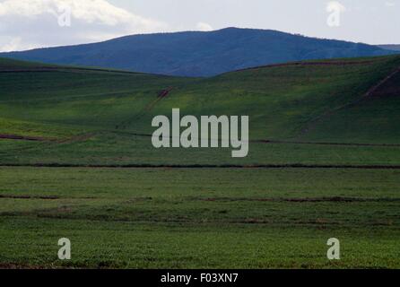 Feldern in der Nähe der antiken Stadt von Hattusa, Bogazkale, Zentral-Anatolien, Türkei. Stockfoto