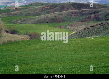 Feldern in der Nähe der antiken Stadt von Hattusa, Bogazkale, Zentral-Anatolien, Türkei. Stockfoto