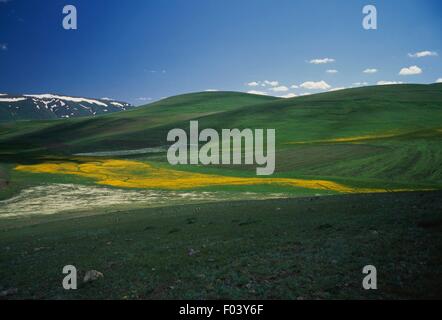 SAC Gecidi Pass, (2315 m) zwischen Erzurum und Agri, Ost-Anatolien, Türkei. Stockfoto