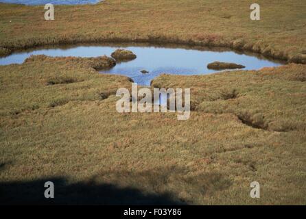 Lagune im Sado-Mündung Naturschutzgebiet, Baixo Alentejo, Portugal. Stockfoto