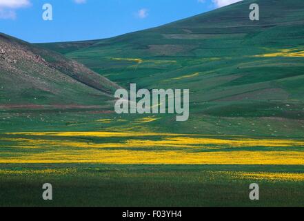 SAC Gecidi Pass (2315 m) zwischen Erzurum und Agri, Ost-Anatolien, Türkei. Stockfoto