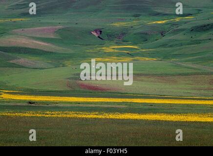 SAC Gecidi Pass (2315 m) zwischen Erzurum und Agri, Ost-Anatolien, Türkei. Stockfoto