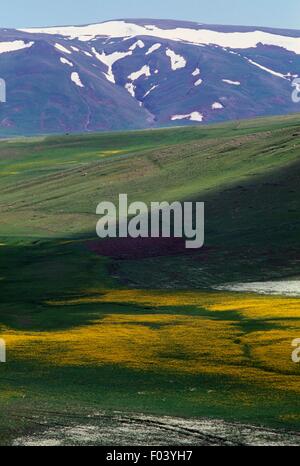 SAC Gecidi Pass (2315 m) zwischen Erzurum und Agri, Ost-Anatolien, Türkei. Stockfoto