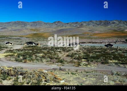 Nomadencamp in der Nähe von Sirjan, Iran. Stockfoto