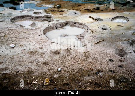Schlammvulkan, Yellowstone National Park, Wyoming, USA Stockfoto