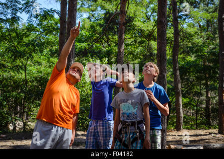 Pfadfinder, Klettern im Hochseilgarten in ukrainischer Sprache scout Trainingslager, Kiew, Ukraine Stockfoto