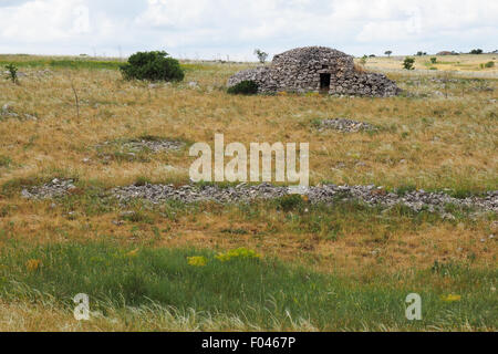 Trockenmauern und Trullo, einem trockenen Hütte aus Stein, in das Feld ein. Stockfoto