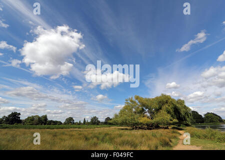 Bushy Park, SW-London, UK. 6. August 2015. UK-Wetter: Atemberaubende Wolke Formationen an einem sonnigen Nachmittag in Bushy Park. Bildnachweis: Julia Gavin UK/Alamy Live-Nachrichten Stockfoto