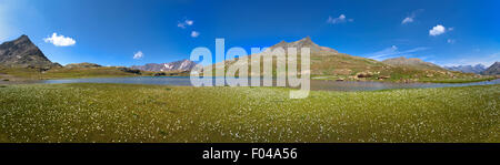 Nationalpark Stilfser Joch, Gavia Pass, Valfurva, Alpen, Italien - White Lake Stockfoto